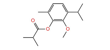 2-(Isobutyryloxy)-thymol methyl ether